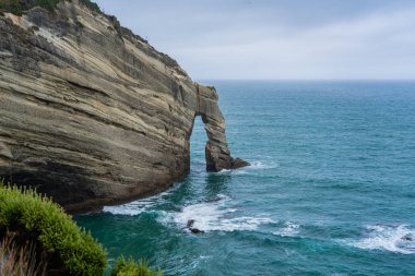 Able Tasman Ulusal Parkı Yeni Zelanda, Tasman Bölgesi Güney Adası Yeni Zelanda, Yeni Zelanda 'da Cape Farewell' de muhteşem engebeli bir kıyı şeridi..