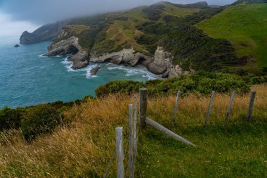 Able Tasman Ulusal Parkı Yeni Zelanda, Tasman Bölgesi Güney Adası Yeni Zelanda, Yeni Zelanda 'da Cape Farewell' de muhteşem engebeli bir kıyı şeridi..
