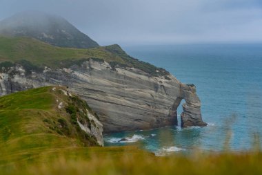 Able Tasman Ulusal Parkı Yeni Zelanda, Tasman Bölgesi Güney Adası Yeni Zelanda, Yeni Zelanda 'da Cape Farewell' de muhteşem engebeli bir kıyı şeridi..