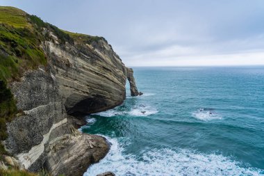 Able Tasman Ulusal Parkı Yeni Zelanda, Tasman Bölgesi Güney Adası Yeni Zelanda, Yeni Zelanda 'da Cape Farewell' de muhteşem engebeli bir kıyı şeridi..