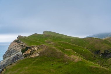 Able Tasman Ulusal Parkı Yeni Zelanda, Tasman Bölgesi Güney Adası Yeni Zelanda, Yeni Zelanda 'da Cape Farewell' de muhteşem engebeli bir kıyı şeridi..