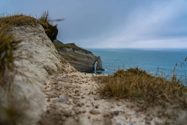 Able Tasman Ulusal Parkı Yeni Zelanda Tasman Bölgesi Güney Adası — Stok fotoğraf