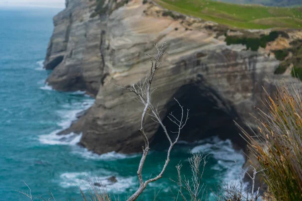 Able Tasman Nationalpark Neuseeland Tasman Bezirk Südinsel Neuseeland Eine Spektakuläre — Stockfoto