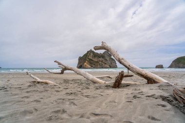 Whariki Sahili, Golden Bay, Whariki Sahili, Nelson, Kuzey Adası, Yeni Zelanda 'da dalgalı kum ve kaya oluşumları