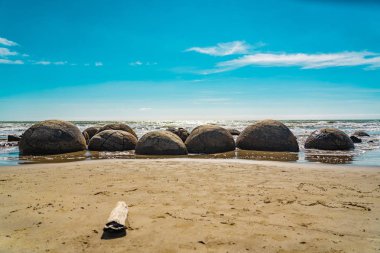 Yeni Zelanda 'da Moeraki Kayaları, Yeni Zelanda' nın doğu kıyısında Moeraki Sahili, arkasında okyanus ve mavi gökyüzü olan Moeraki Kayaları.