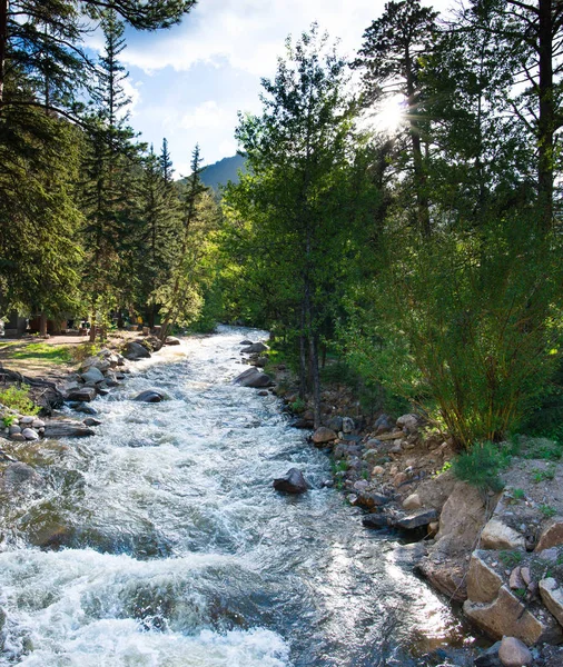 Mountain Stream Rocky Mountains Stock Image