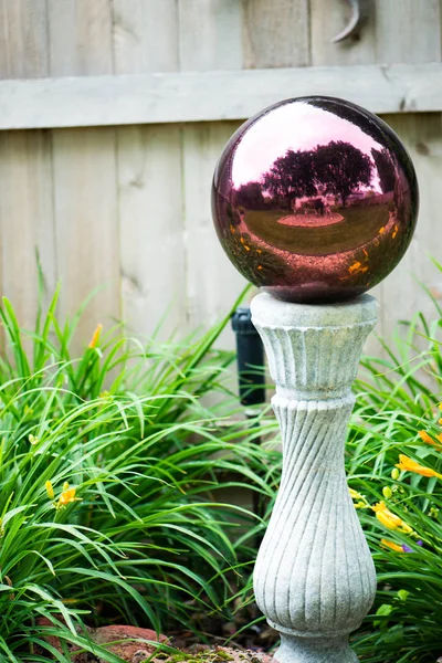 Bahçede süslü stand bakan topu