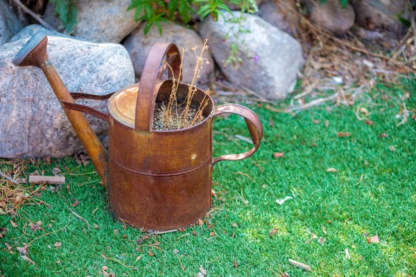 Terk edilmiş bir bahçede kullanılan paslı eski watercan