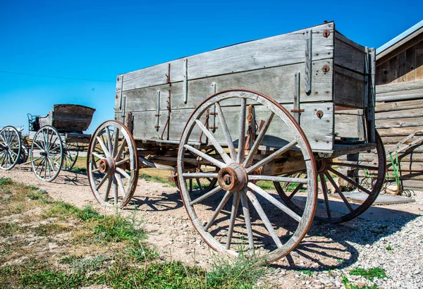 Velho Cavalo Madeira Puxado Vagão Fora Cheyenne Wyoming Eua Setembro — Fotografia de Stock