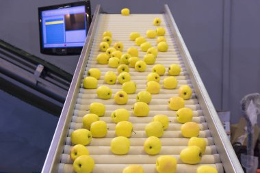 elma sınıflandırmak için elektronik makine