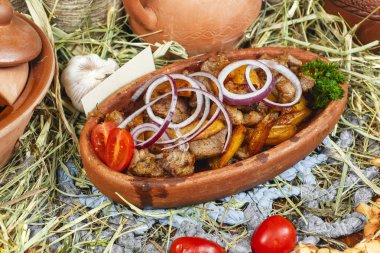 Gürcü tarifi, Avrupa mutfağına göre kömür üzerinde kızartılmış turşu et farklı türde kebap