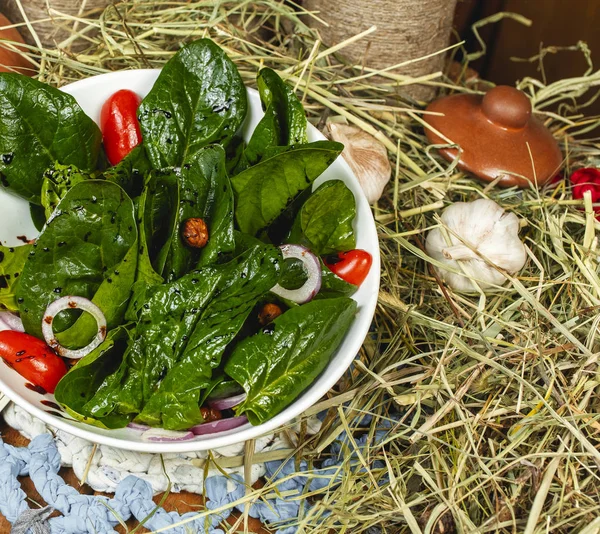 Vegetariánský Salát Rukalou Rajčata Oděná Omáčkou — Stock fotografie