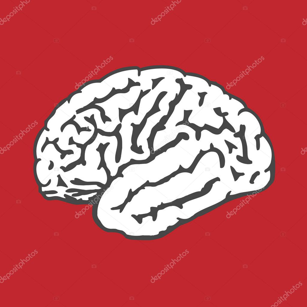 Human brain icon - intelligence and IQ concept