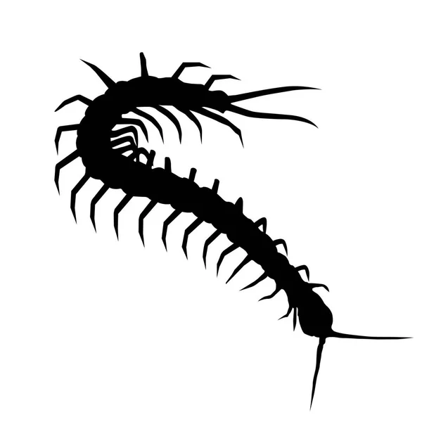 Scolopendra - kırkayak anahat kıvranma siluet