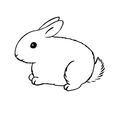 Bunny anahat - tüylü beyaz tavşan