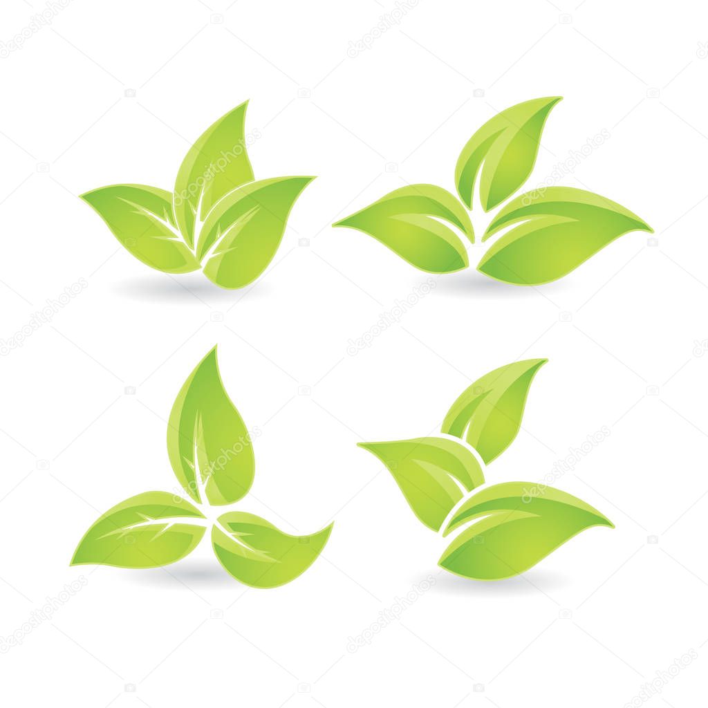 Set of green leaves - bio emblem