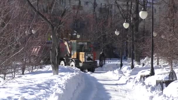 チュメニ 西シベリア ロシア連邦 2019 除雪装置は 公園から雪をクリアします バケットのローダーは 雪を収集し ダンプ トラックに読み込まれます — ストック動画