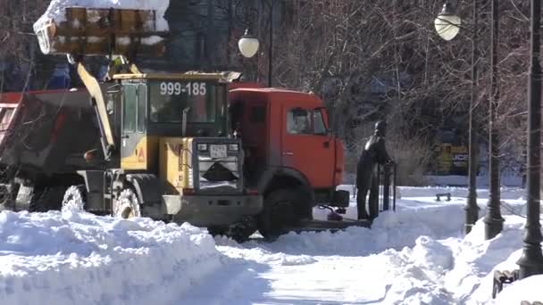 Tyumen Siberia Occidental Rusia Marzo 2019 Equipo Remoción Nieve Limpia — Vídeo de stock