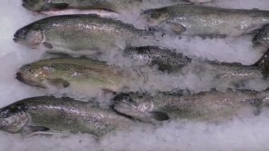 Taze balık süpermarkette buzda. Aşağıdan yukarıya. Portre.
