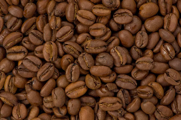빛 볶은 커피 콩 — 스톡 사진