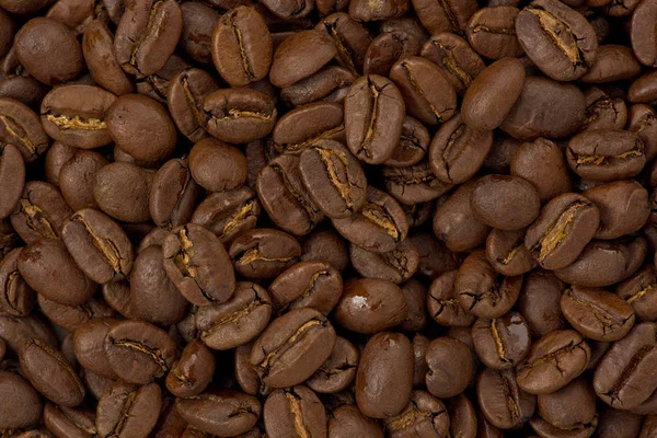 Midium gebraden koffiebonen — Stockfoto