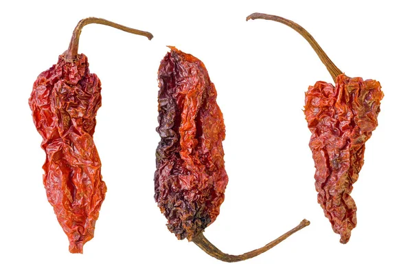 Dried Ghost Peppers — Stock Photo, Image