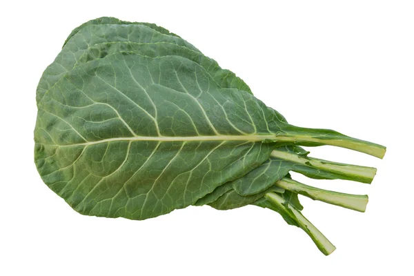 Collard Zöldek (Brassica oleracea) Stock Kép