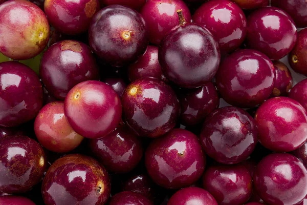 Background Texture Several Muscadine Grapes — Stock Photo, Image