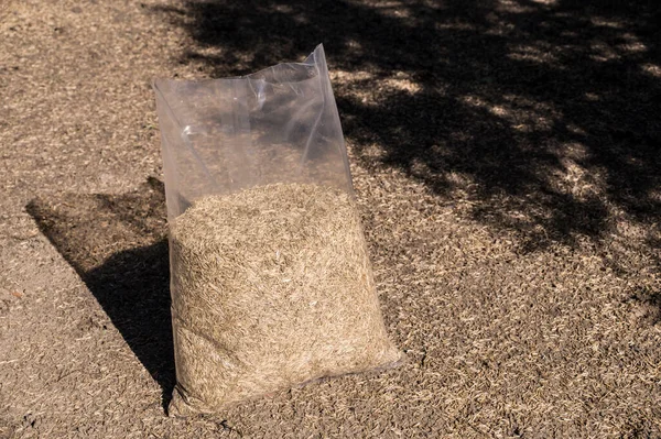 Lawn installation. Foil packaging with grass seeds. — Stock Image Lawn Installation Foil Packaging Grass Seeds Stock Photo