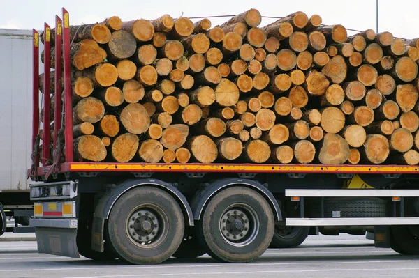 Timber transport. A truck semi-trailer filled with felled tree trunks.