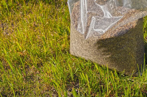 Gras Zaaien Een Gazon Opzetten Folieverpakking Met Graszaad — Stockfoto