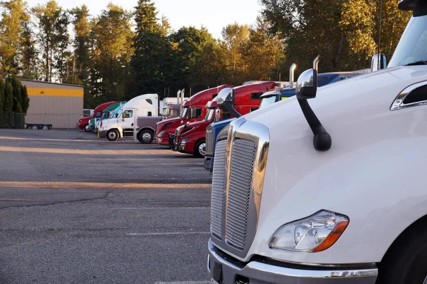Een Rij Vrachtwagens Tijdens Een Tussenstop Reispauzes Stop Voor Vrachtwagens — Stockfoto