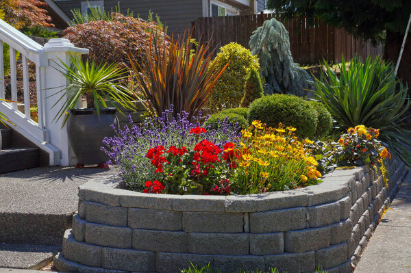Mini garden planted with various plants. Entrance to the house. 