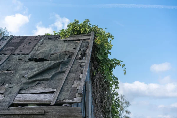 Στέγη Του Ένα Παλιό Ξύλινο Εγκαταλελειμμένο Σπίτι — Φωτογραφία Αρχείου