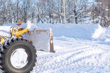 benzersiz arka plan doku doğal taş renkli soyut desen