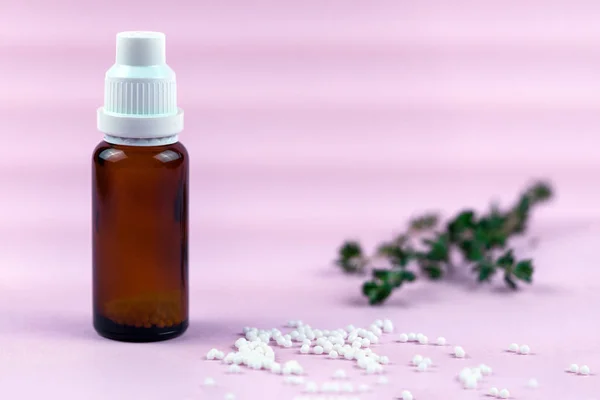 Homeopathic lactose sugar balls in glass bottles ,medicine. Glass bottle with white granules.Close-up of homeopathic globules lying on pink surface with herb and glass bottle.