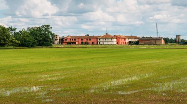 Sular altında pirinç çeltik tarlaları kırsal Lombardy, İtalya.