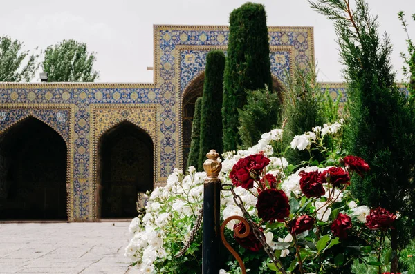 Egy szép iráni udvar - szelektív összpontosít az előtérben a fehér és piros rózsa — Stock Fotó