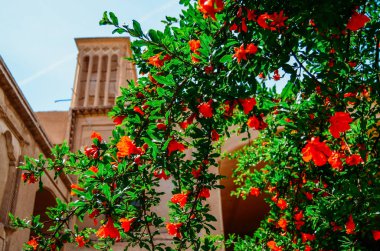 Windcatcher towers doğal havalandırma binalarda, eski şehir Yazd Iran oluşturmak için çok geleneksel Fars mimari unsur olduğunu. Gül ön üzerinde.