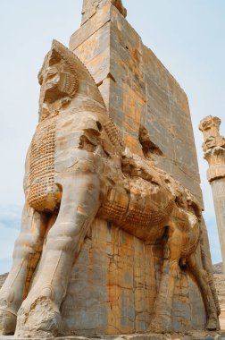 Pespepolis, Iran - 28 Nisan 2018: At kafa heykelleri. Persepolis Ahameniş İmparatorluğu'nun tören başkenti yapıldı.