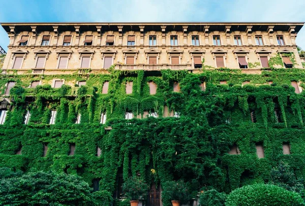 Entrada Madera Rústica Una Villa Italiana Milán Cubierta Hermosas Hojas — Foto de Stock