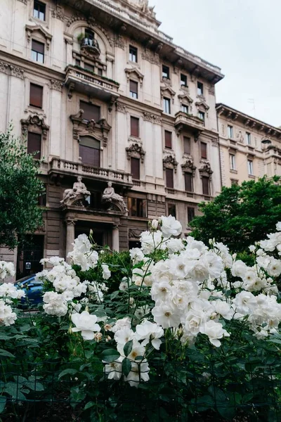 White Flowers Foreground Art Nouveau Architecture Piazza Eleonora Duse Milan — Stock Photo, Image