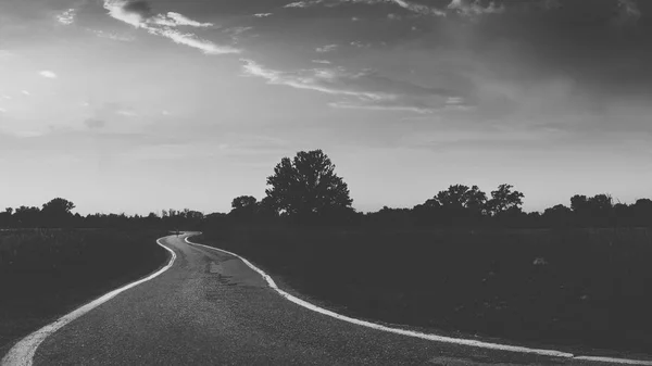 Bela Arte Diminuindo Perspectiva Sinuosa Caminho Floresta Com Ciclista Fundo — Fotografia de Stock