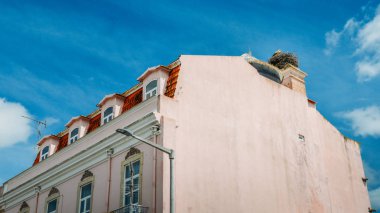 Beyaz leylek aile dev iç içe Algarve, Portekiz bir çatı üzerine küçük bebek ile