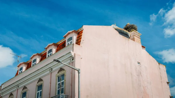在葡萄牙的阿尔加维, 一座屋顶上有小婴儿的白鹳家庭巨巢 — 图库照片