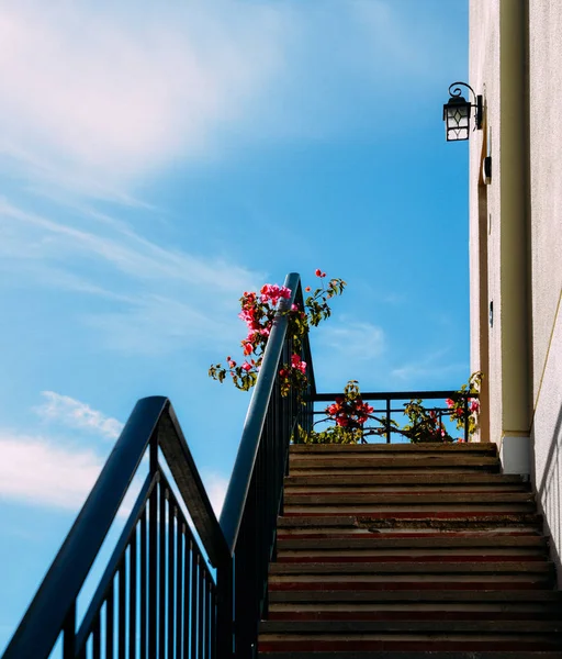 Escaliers résidentiels avec des fleurs roses contre un ciel bleu avec espace de copie — Photo