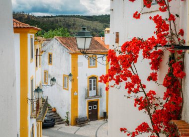 View of narrow paved street in Constancia, Portugal clipart