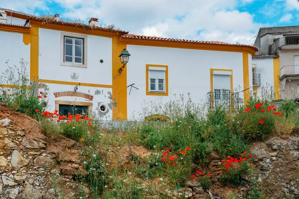 Nézd hagyományos portugál házak Constancia, Portugália — Stock Fotó