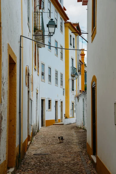 Pohled na úzké dlážděné ulice Constancia, Portugalsko — Stock fotografie