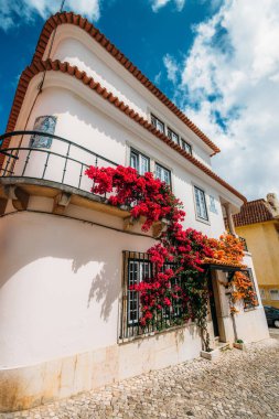 Geniş açılı görünüş geleneksel beyaz evler Cascais tarihi merkezinde boudaville bitkiler ile mavi bir gökyüzü karşı yıkanmış.